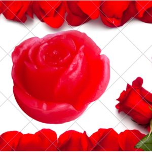 Savons aux roses rouges pour bain purifiant rafraîchissant